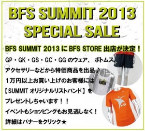 BFS Summit 2013