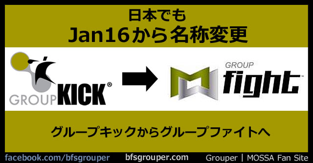 GroupFight GroupKick